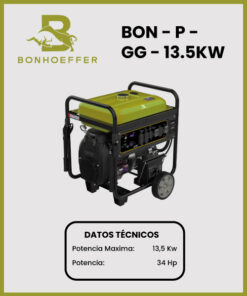 GENERADOR MARCA BONHOEFFER MOD BON-P-GG-13.5KW