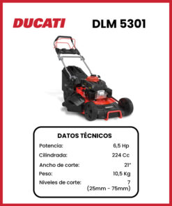 CORTACESPED MARCA DUCATI MOD DLM5301